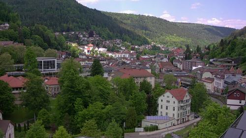 Webcam Bad Wildbad