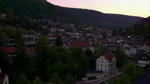Webcam Bad Wildbad