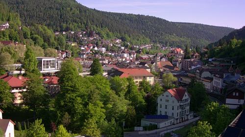 Webcam Bad Wildbad