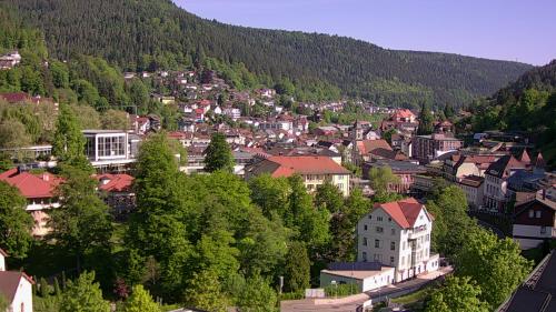Webcam Bad Wildbad
