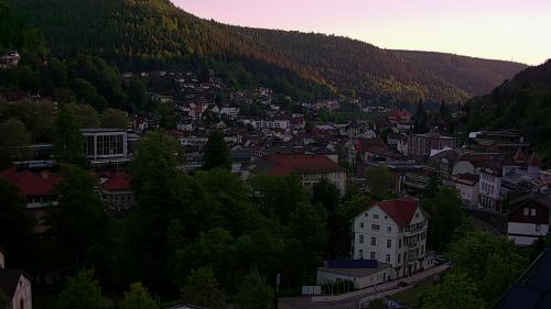 Webcam Bad Wildbad