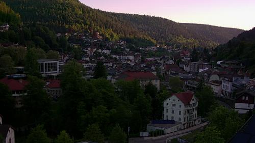 Webcam Bad Wildbad