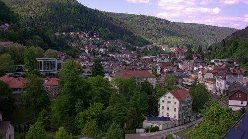 Webcam Bad Wildbad