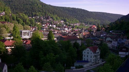Webcam Bad Wildbad