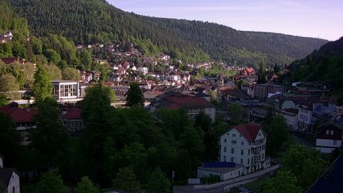 Webcam Bad Wildbad