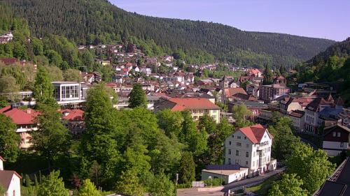 Webcam Bad Wildbad