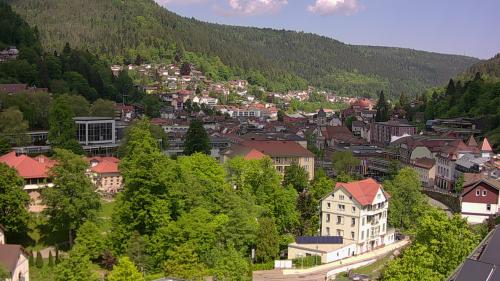 Webcam Bad Wildbad