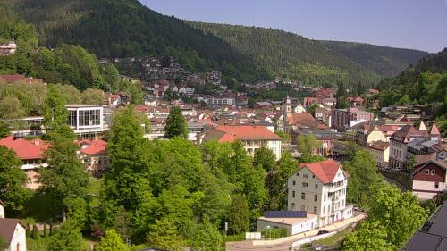 Webcam Bad Wildbad