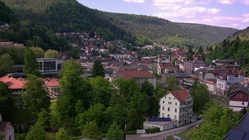 Webcam Bad Wildbad