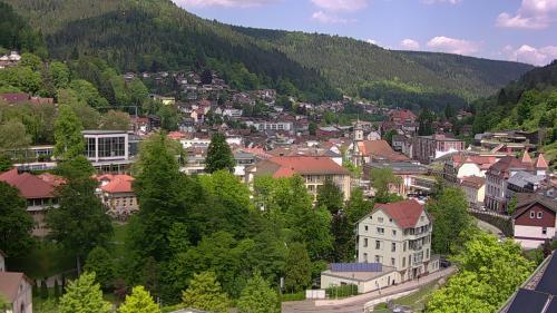 Webcam Bad Wildbad
