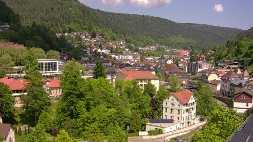Webcam Bad Wildbad