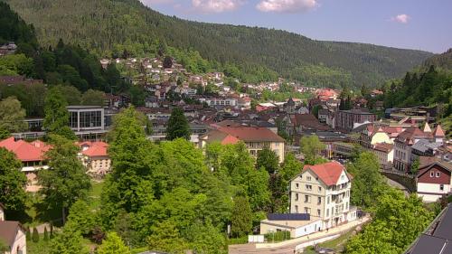 Webcam Bad Wildbad