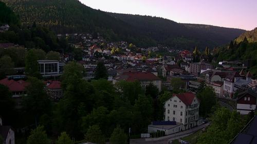 Webcam Bad Wildbad