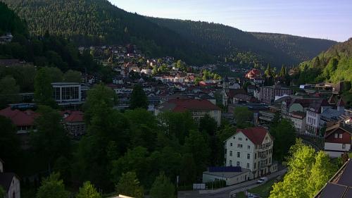 Webcam Bad Wildbad