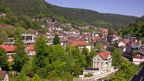 Webcam Bad Wildbad