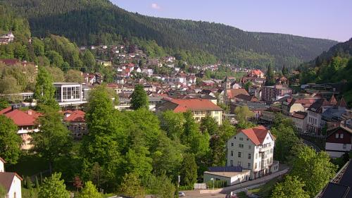 Webcam Bad Wildbad