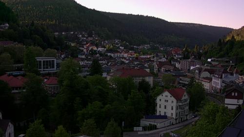 Webcam Bad Wildbad