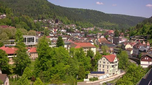 Webcam Bad Wildbad