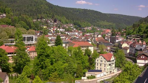 Webcam Bad Wildbad