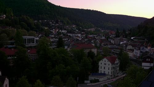Webcam Bad Wildbad