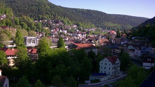Webcam Bad Wildbad