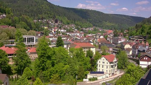 Webcam Bad Wildbad