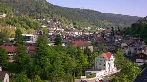 Webcam Bad Wildbad