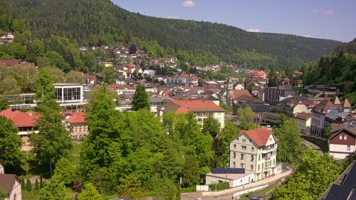 Webcam Bad Wildbad