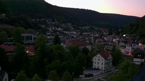 Webcam Bad Wildbad