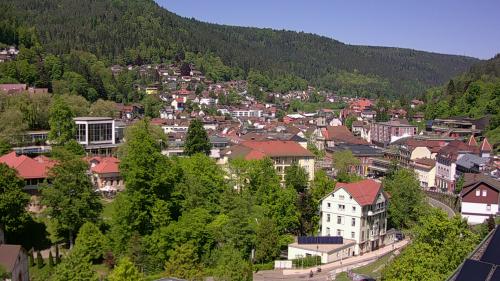 Webcam Bad Wildbad