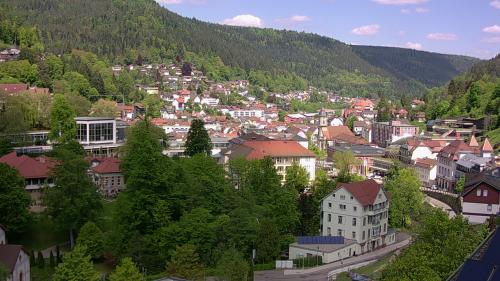 Webcam Bad Wildbad