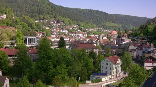 Webcam Bad Wildbad
