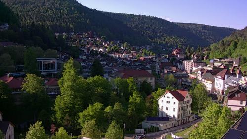 Webcam Bad Wildbad