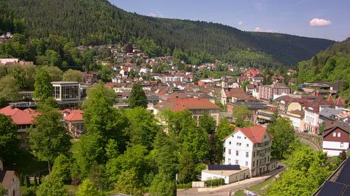 Webcam Bad Wildbad