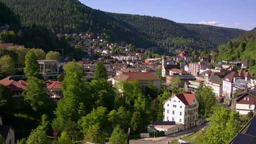 Webcam Bad Wildbad