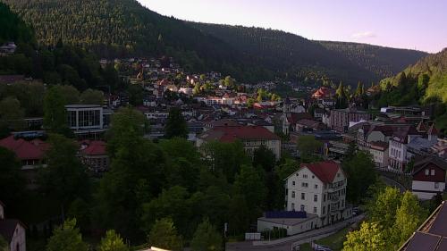 Webcam Bad Wildbad