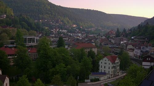 Webcam Bad Wildbad