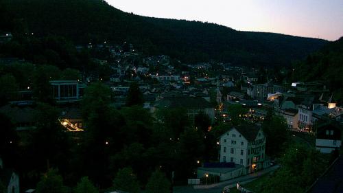Webcam Bad Wildbad