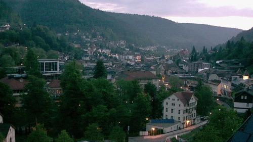 Webcam Bad Wildbad