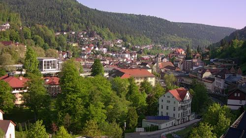 Webcam Bad Wildbad