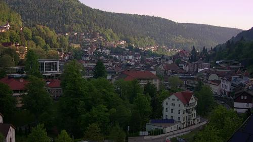Webcam Bad Wildbad