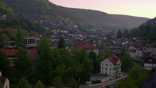 Webcam Bad Wildbad