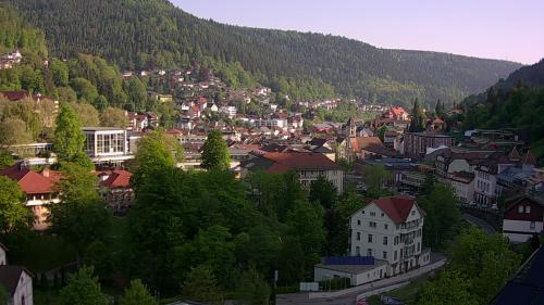 Webcam Bad Wildbad