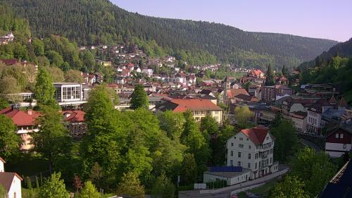 Webcam Bad Wildbad