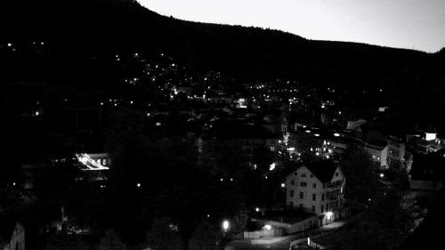 Webcam Bad Wildbad