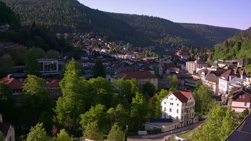 Webcam Bad Wildbad