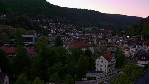 Webcam Bad Wildbad