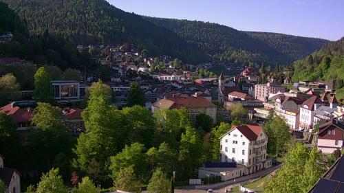 Webcam Bad Wildbad