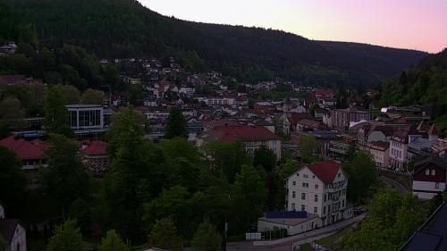 Webcam Bad Wildbad