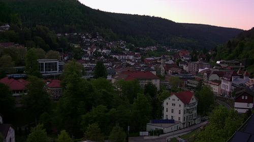 Webcam Bad Wildbad